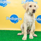 Name: Benton