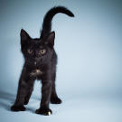 Name: Chris