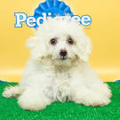 Name: Coco