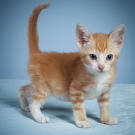 Name: Kiara
