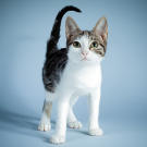 Name: Lisa
