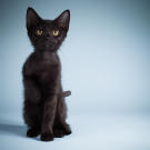 Name: Marie