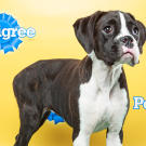 Name: Prada