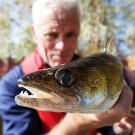 Jeremy Wade with a river monster in Chernobyl.