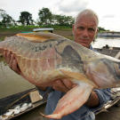 Jeremy Wade holds a river monster.