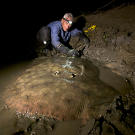 Jeremy Wade catches a giant stingray!