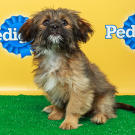 Name: Roxy