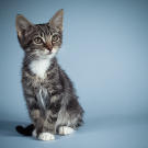 Name: Thyme