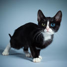 Name: Tom