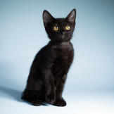 Name: Mary