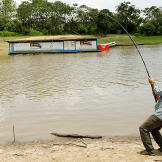 Jeremy Wade fishes for stingrays.