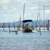 Jeremy Wade fishing for piranha.