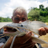 Jeremy Wade holding a river monster.