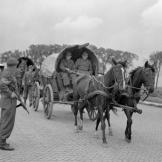 Sergeant E.J. Savage of the 4th Anti-Tank Regiment, Royal Canadian Artillery, guarding surrendering German soldiers as they trot by, Sneek, Netherlands, May 28, 1945.
