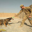 Sgt. Benjamin Stopyra and Gero