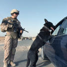 LCpl. Durward Shaw and Falko