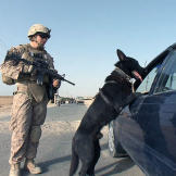 LCpl. Durward Shaw and Falko
