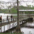 Many homes in the bayou come with a dock, a prized commodity.