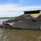 If you're lucky, your bayou home will come with a duck blind for hunting. But watch out for giant spiders that may also call the duck blind home.