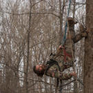 Willy climbs a tree.
