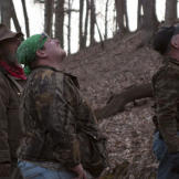 Trapper (left), Buck (center) and Wild Bill watch as Willy climbs a tree.