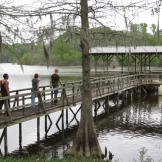 Many homes in the bayou come with a dock, a prized commodity.