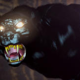 The Wampus Beast is a mountain cat with a 5-foot-long tail. It has wide feet, almost as big as a coffee can, and gives off a wet, skunk smell. It lives throughout the backyards of West Virginians and has eyes so evil, they haunt the soul.