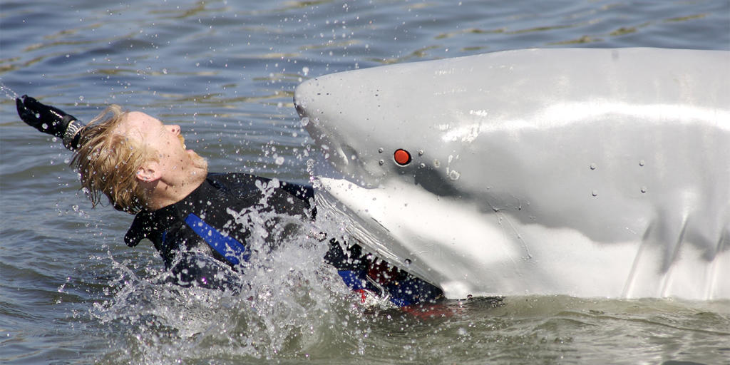 Why Do Sharks Actually Attack Humans Shark Week Discovery