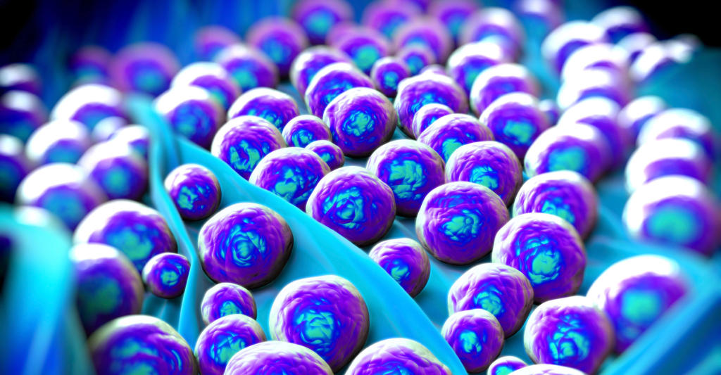 The Cure for MRSA? Garlic, Cow Bile and Wine DSCOVRD Discovery Blog