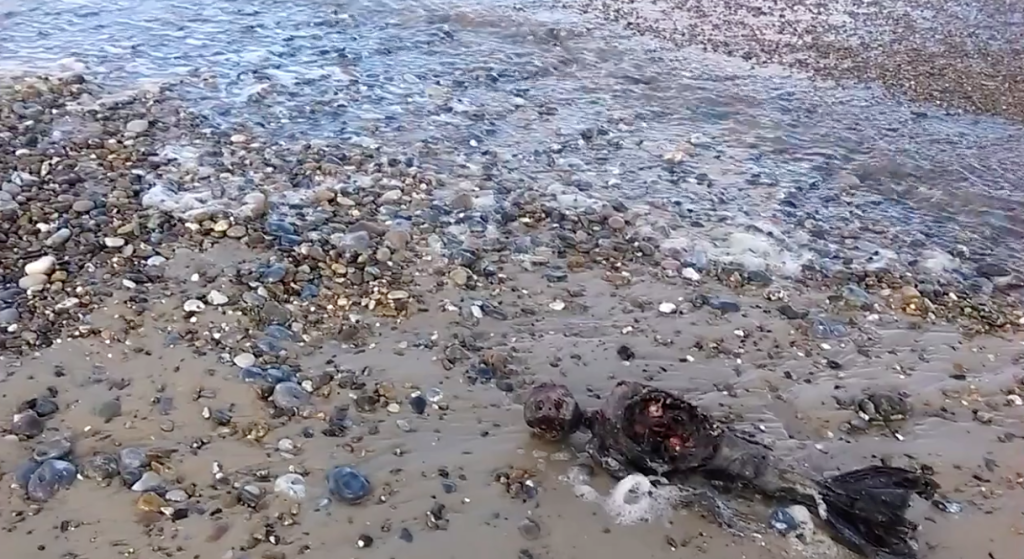 Mermaid Body Washes Ashore Raising All Kinds of Questions The