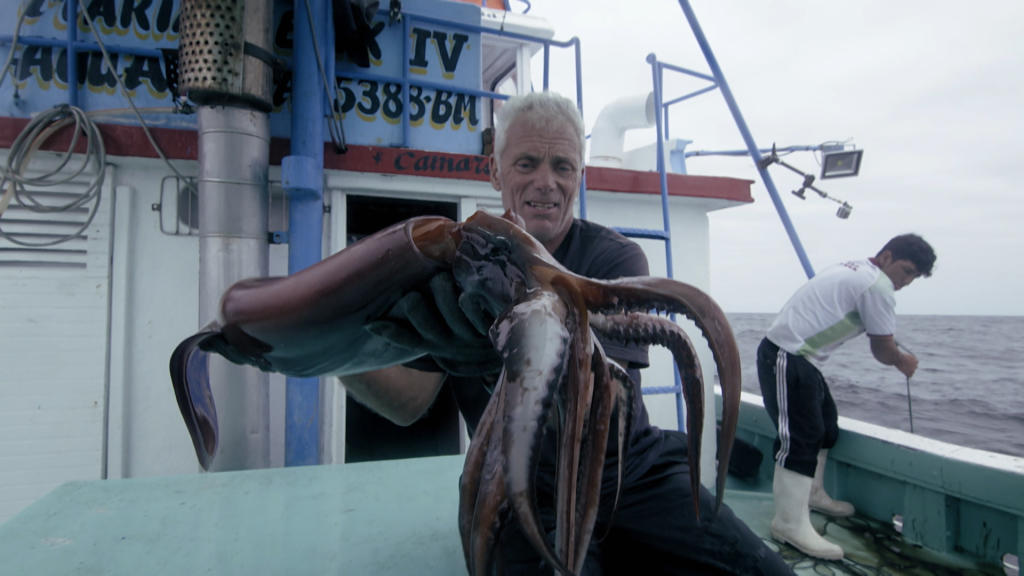 Devil of the Deep – How to Catch a Humboldt Squid | River Monsters
