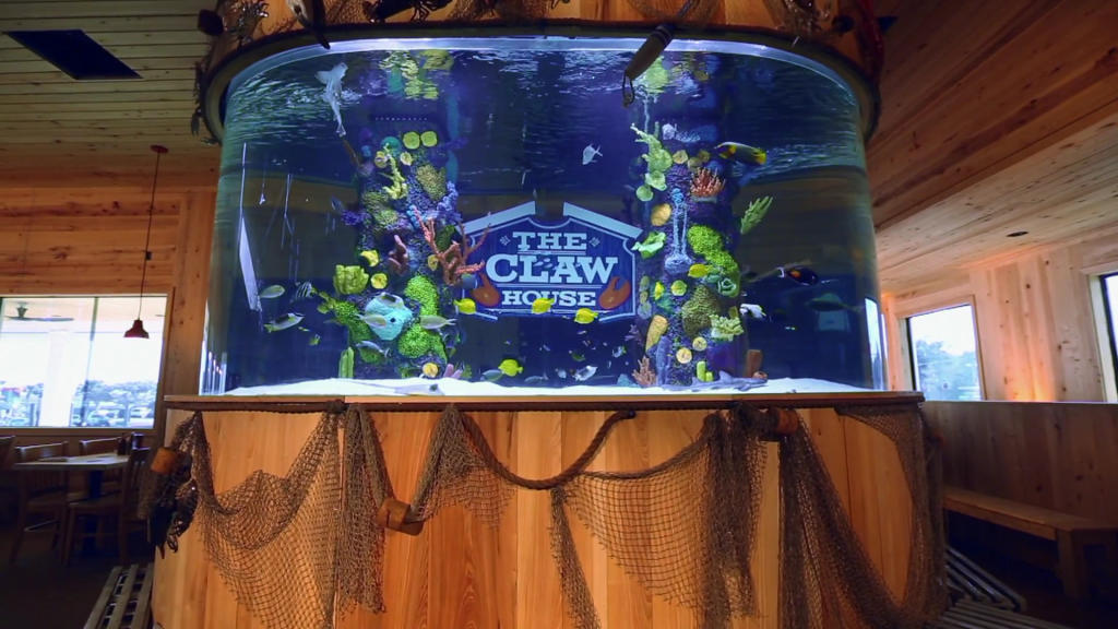 The Claw House Tank Tanked Tanked Animal