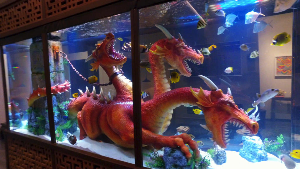 Steve Aoki’s Dragon Tank Tanked Tanked Animal