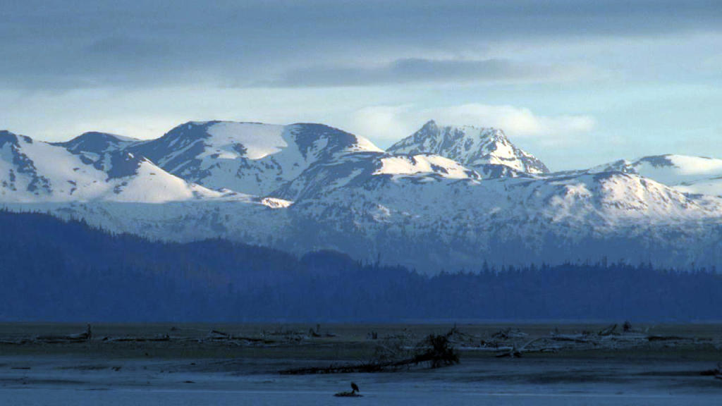 Surviving the Seasons Alaska: The Last Frontier Discovery