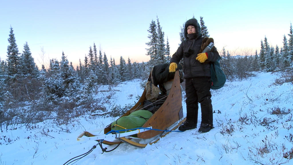 Yukon Men Winter Transportation Poll Yukon Men Discovery