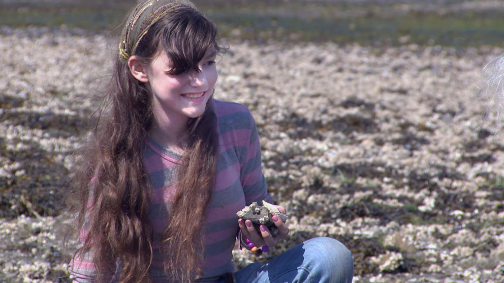blogs alaskan bush people blogs alaskan bush people