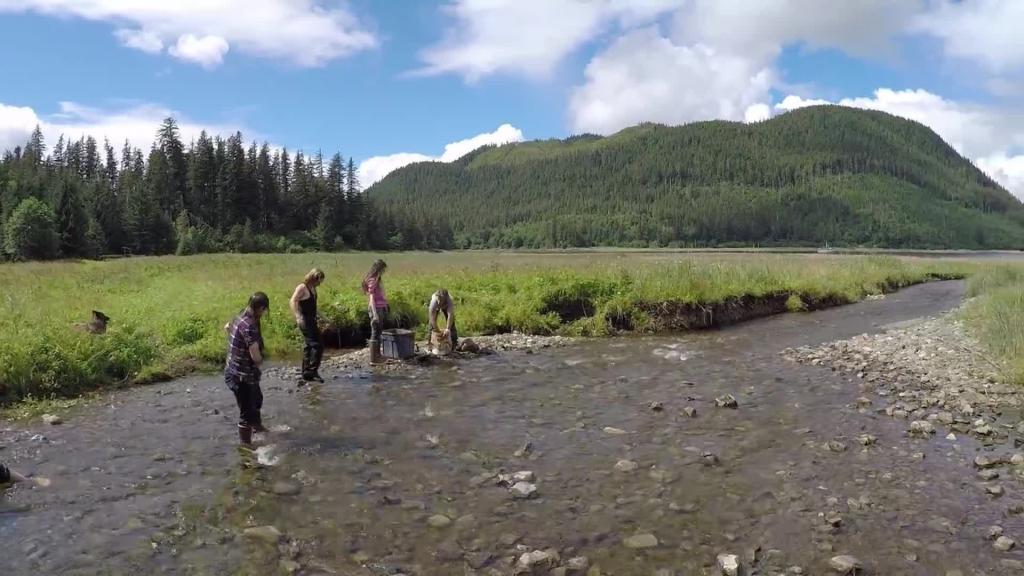 Building the Future of Browntown Alaskan Bush People Discovery