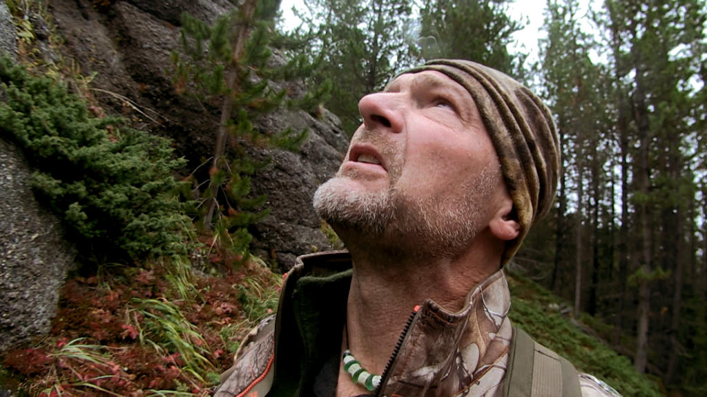 Let’s Go Exploring  Survivorman  Discovery Science