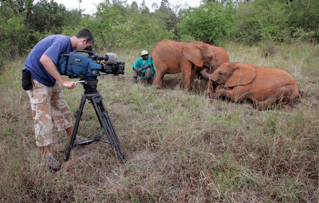 Behind the Scenes Filming Wildlife Discovery