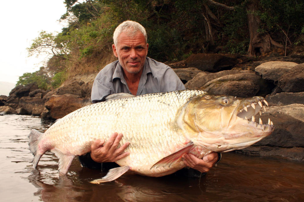 river goliath monsters fish tigerfish tiger congo giant african teeth jeremy wade wolf catfish planet animal