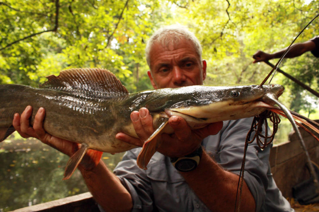 fish with human teeth river monsters