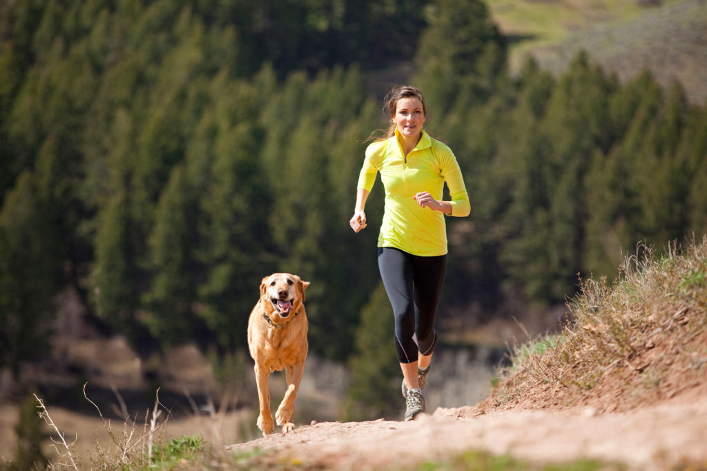 Which dog breeds make good running partners? | Healthy Dogs | Animal Planet