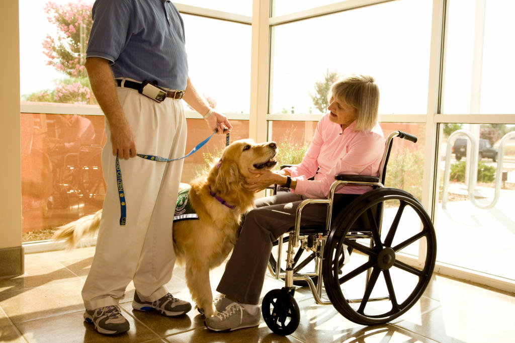 assistance dog trainer courses