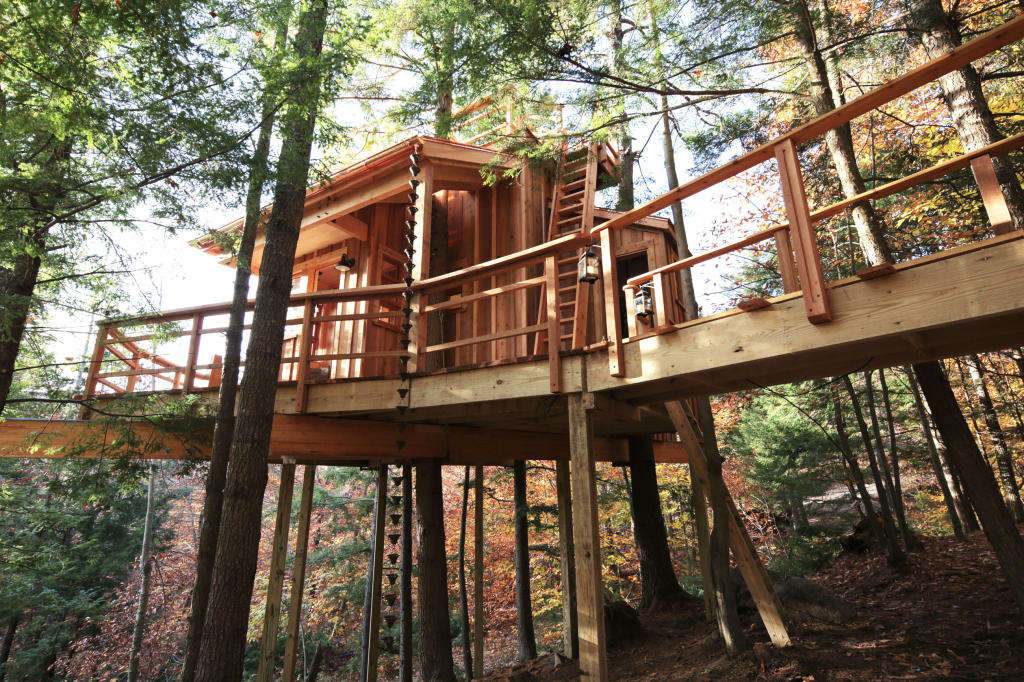 Ultimate Treehouses | Treehouse Masters | Animal Planet