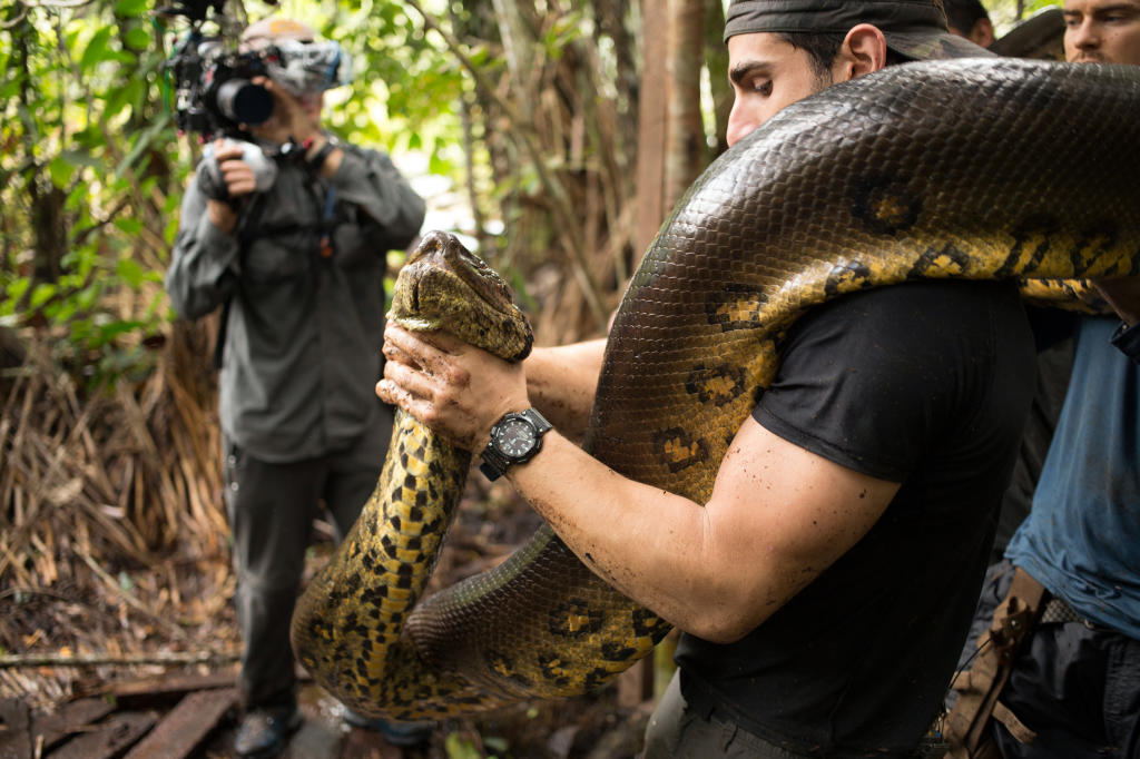 Eaten Alive Eaten Alive