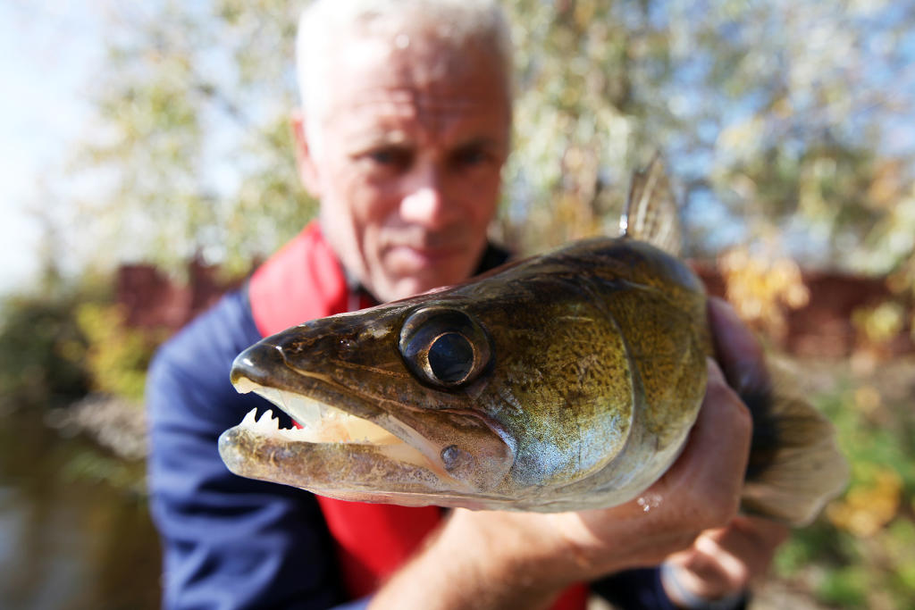 Fish Guide | River Monsters | Animal Planet