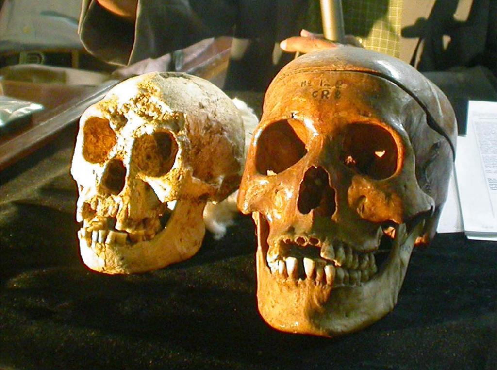 The Cannibal In The Jungle When Cultural Memories Meet Science