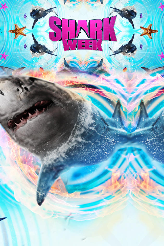 The shark week countdown begins here Join us for 2018