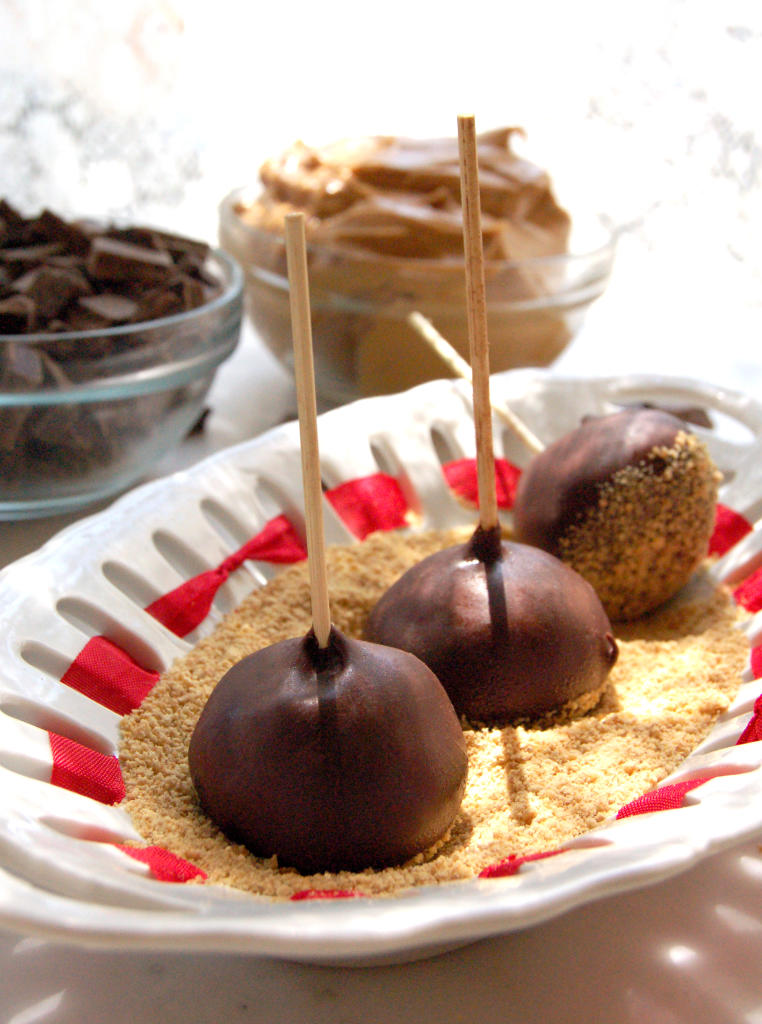 Peanut Butter Lollipops Recipe Next Great Baker TLC