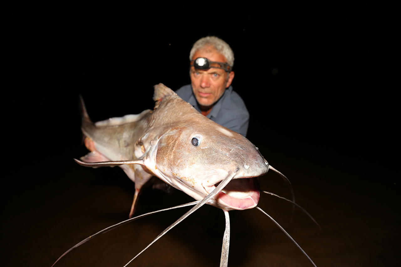 Man-Eating Monster Pictures | River Monsters | Animal Planet1280 x 853